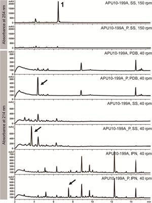 Mycovirus-Induced Tenuazonic Acid Production in a Rice Blast Fungus Magnaporthe oryzae